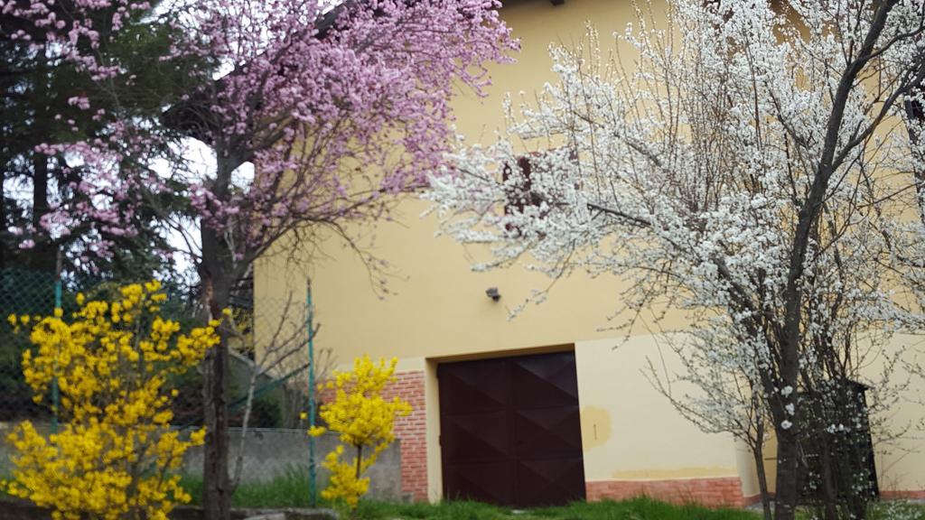 Allevamento B&B Pozzol Groppo 外观 照片